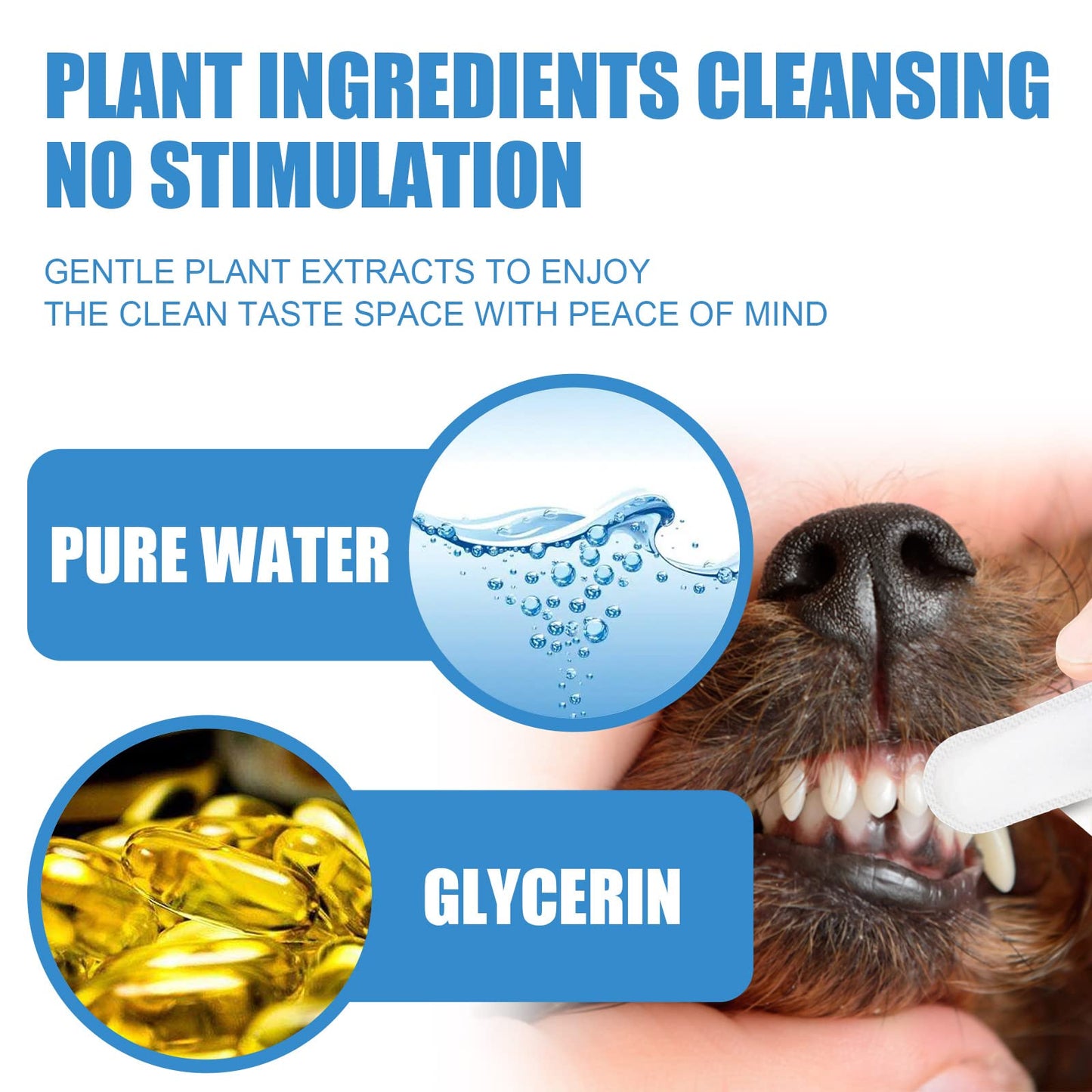 🐾BotanikoPet|Pet Oral or Local Cleaning Finger Wipes