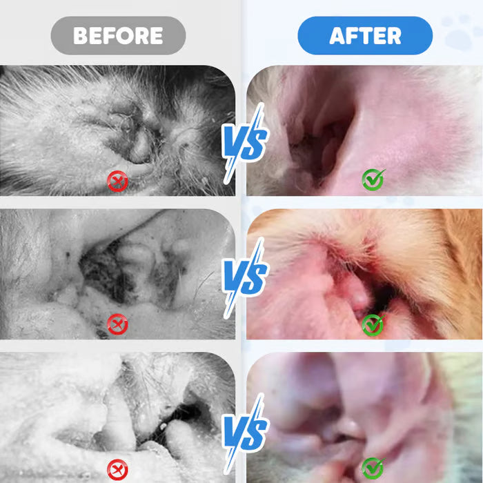 🐾BotanikoPet|Ear Cleaner for Dogs & Cats