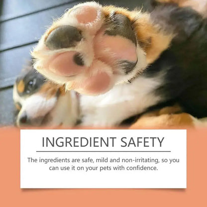 🐾BotanikoPet|Pet Paw & Nose Moisturizing Protective Balm